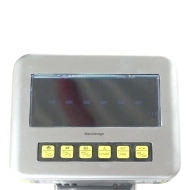 Transpalette Peseur Inox 304 Précision 0.1%